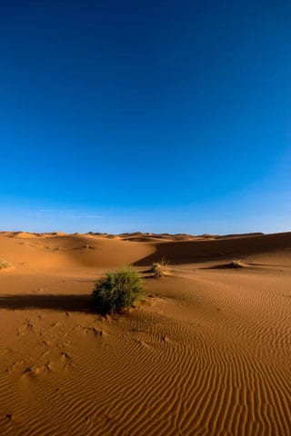 Corralejo Dunenlandschaft