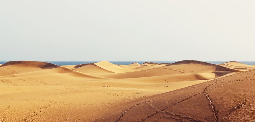 Landschaft Dunen Corralejo