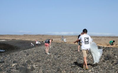 Beach Clean Up – zu viel Müll an den Stränden Fuerteventuras